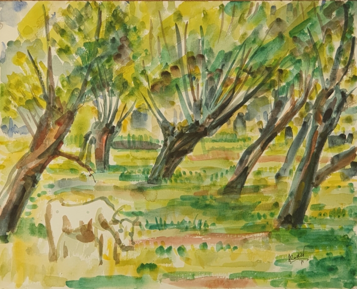Bull grasing in an orchard - Water Colors (33x41cm, 1975)