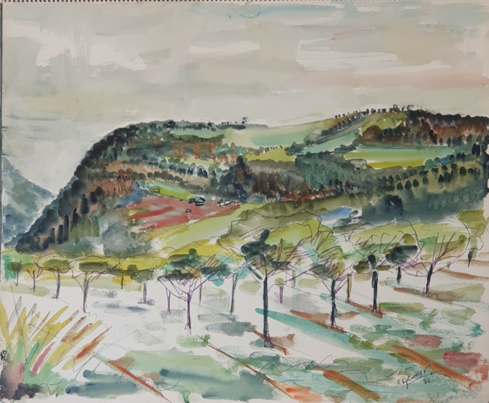 Surroundings of Wepion (Namur) in Belgium - Water Colors (46x55cm, 1966)