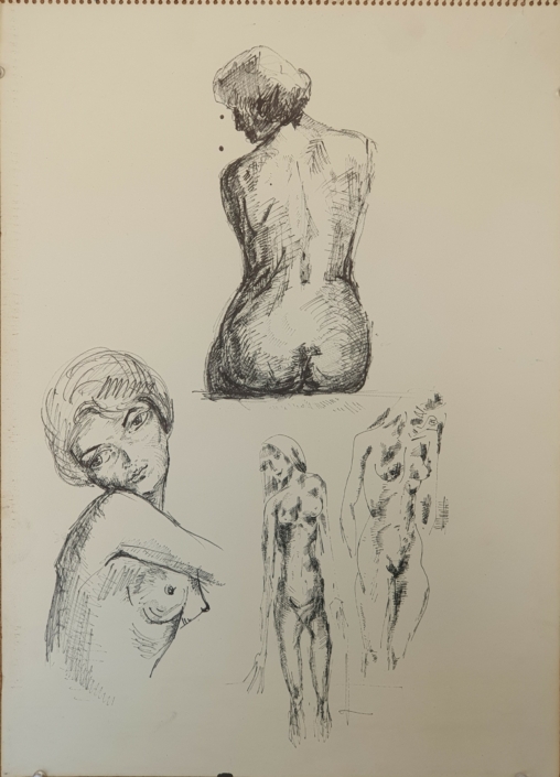 Sketches of women nudes (unsigned) - Black Ink (50x30cm)