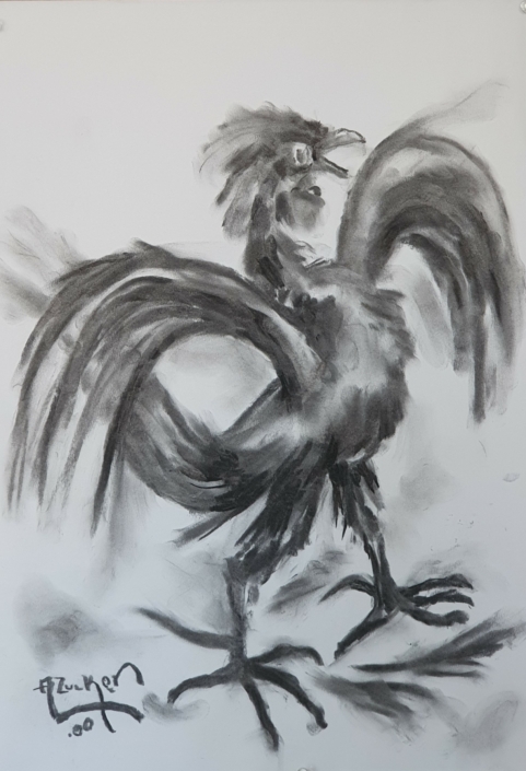 Rooster - Charcoal / Soft Pencil (50x35cm, 1980)